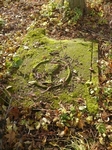 Widok oglny pyty